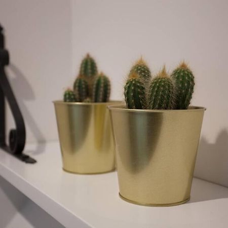 ビルバオBonito Apartamento, Nuevo Y En El Casco Viejo!!!アパートメント エクステリア 写真
